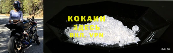 СК Волоколамск