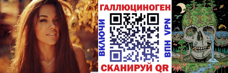Галлюциногенные грибы Psilocybe  Купить где  Кореновск 